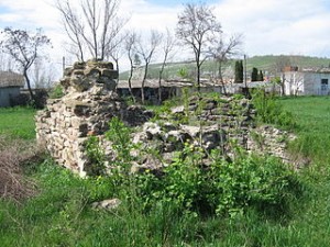 Ruine ale Curtii domnesti de la Hirlau