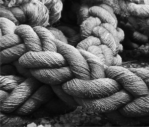 7556599630_65524ef9a7