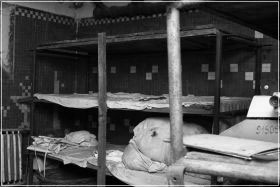 Experimentul Pitesti