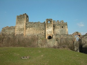 cetatea-soimos