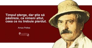 citat amza pellea
